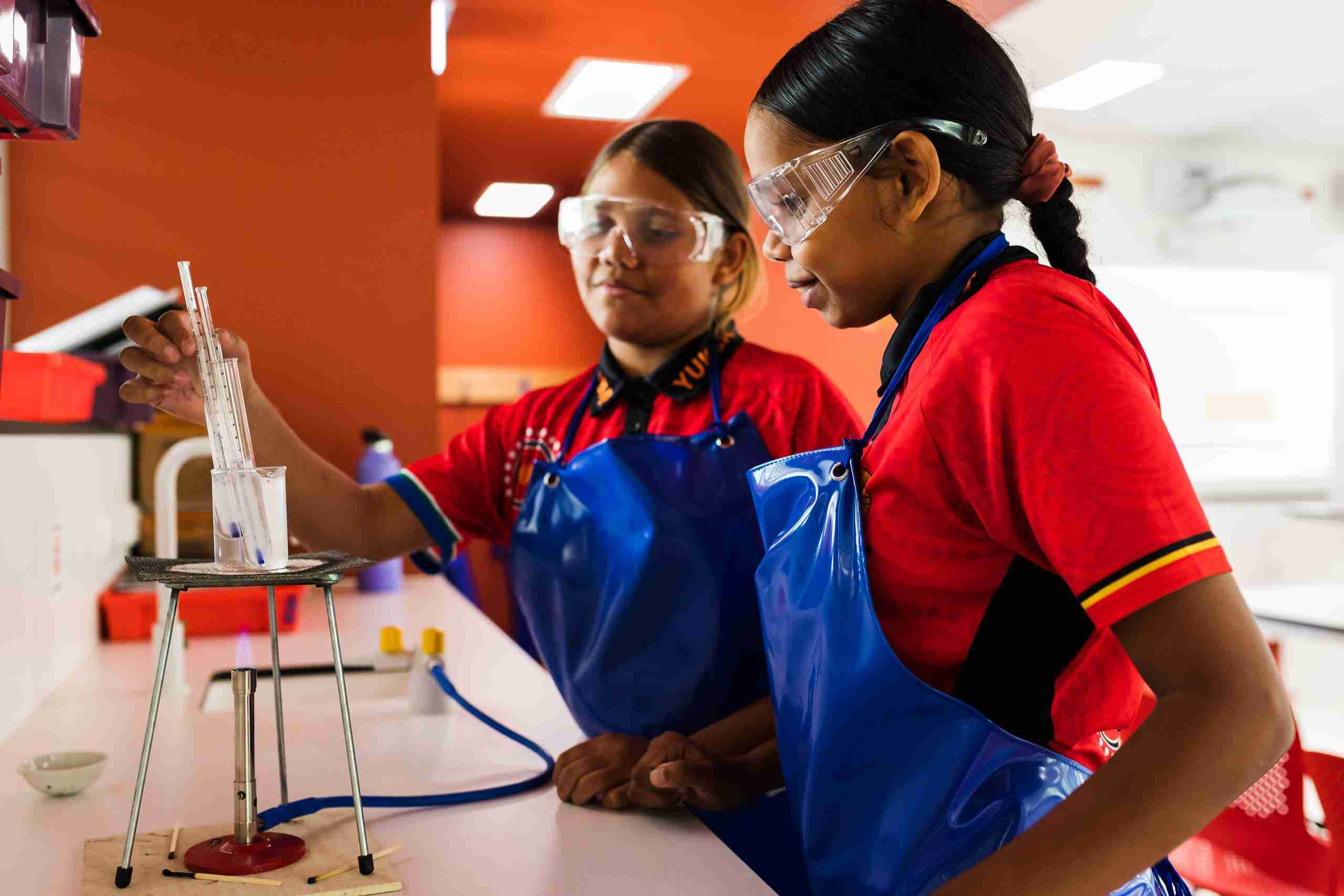 Students in the science lab